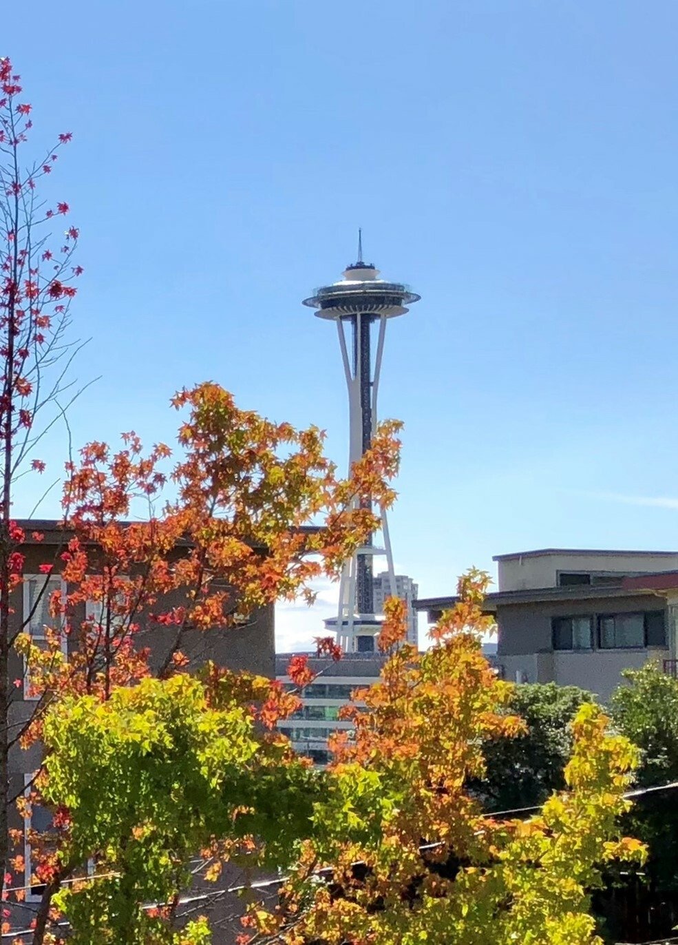 Queen Anne