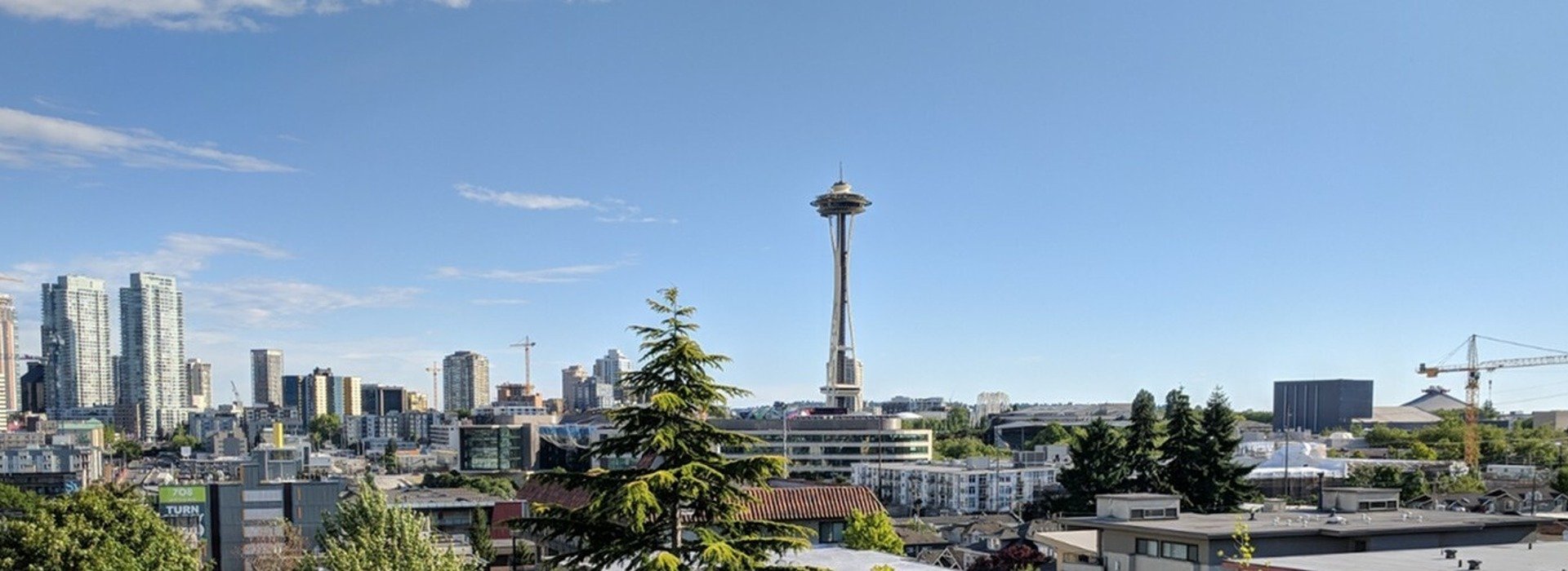 The city